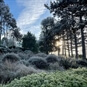 RHS Garden Hyde Hall - Tom Freeman